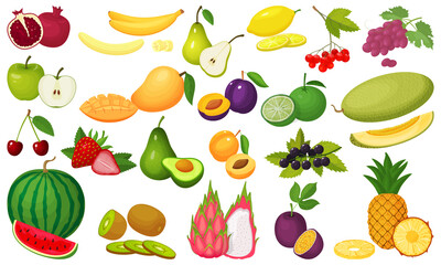 Fototapeta na wymiar A set of fruits.Colorful cartoon icons of ripe and juicy fruits isolated on a white background.Watermelon,avocado,cherry,lime,petaya,pear,apple,plum,apricot, grape,mango, banana and melon.