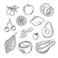 Fruits and plants vector line art. Fruit sketches isolated on white: avocado, lemon, orange, peach, apple, cherries. 