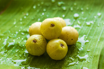 Indian Gooseberry