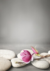Beautiful pink magnolia flower on stones, concept of wellness spa treatments for the beauty of mind and body, massage, zen stone - 498027611