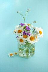 Chamomile, bluebells and forget-me-nots.Bouquet in a glass jar on a blue background