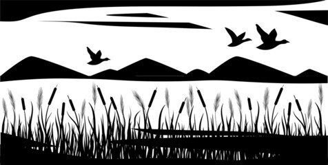 Sedge and cattail grow. Ducks and geese are flying. Black silhouette.