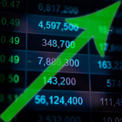 Data analyzing in Forex, Commodities, Equities, Fixed Income and Emerging Markets: the charts and...