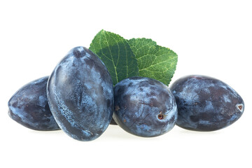 Fresh plum fruits with green leaves isolated on a white background. Group of blue plums.