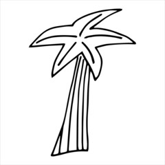 Vector black and white a palm tree .