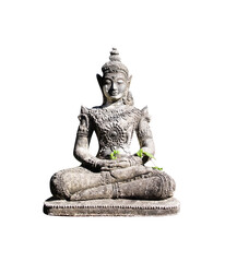Old seated buddha image stucco with green plant growing isolated on white background , clipping path