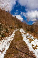 Wanderung zur Bergwacht Hütte im Thüringer Wald bei Steinbach-Hallenberg - Deutschland