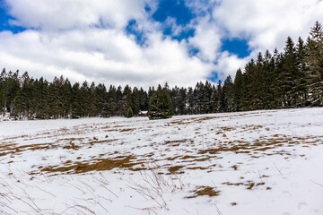 Wanderung zur Bergwacht Hütte im Thüringer Wald bei Steinbach-Hallenberg - Deutschland