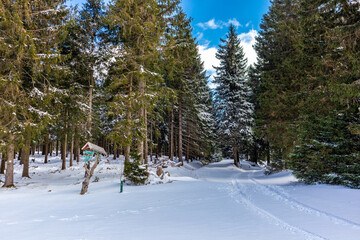 Wanderung zur Bergwacht H&uuml;tte im Th&uuml;ringer Wald bei Steinbach-Hallenberg - Deutschland
