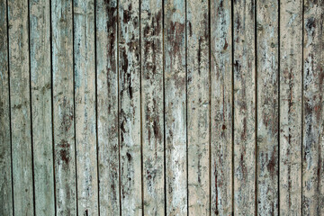 Painted wooden board for design or text. Old painted wood wall.