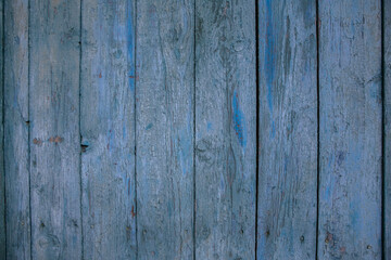 Fototapeta premium Painted wooden board for design or text. Old painted wood wall.
