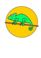 chameleon on a branch