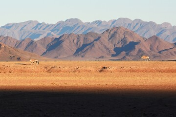 Plakat Berge im Namib-Naukluft-Park nahe des Eingangs von Sesriem. 