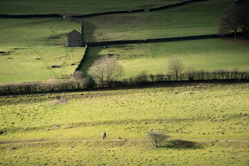 Countryside in Peak District UK near Ladybowe Reservoir