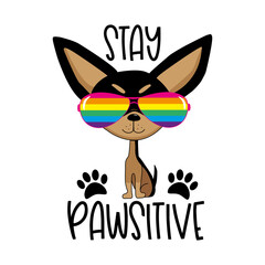 Stay pawsitive - motivational slogan with cool chihuahua dog in ranbow color sunglasses.