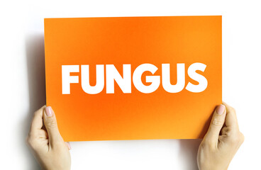 Fungus text quote on card, medical concept background