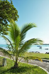 The beautiful beach of Blue Bay on the picturesque island of Mauritius in the Indian Ocean, Africa. The fishing boats and palm tress complete the beautiful landscape.