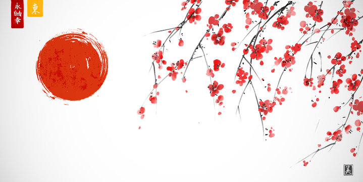 Ink painting of blossoming japanese sakura plum and big red sun on white background. Traditional oriental ink painting sumi-e, u-sin, go-hua. Hieroglyphs - eternity, freedom, happiness, east, beauty