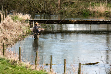 a fly fisherman angler in chest waders casts his line fishing for brown trout on the beautiful scenic river Avon, Wiltshire UK 