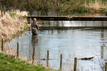 a man in chest waders stands in the river Avon, Wiltshire fly fishing for brown trout