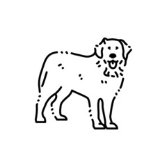 Fototapeta na wymiar Bernese Mountain Dog color line icon. Dog breed.