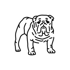 Fototapeta na wymiar English bulldog color line icon. Dog breed.
