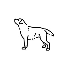 Fototapeta na wymiar Labrador retriever color line icon. Dog breed.