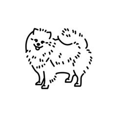 Pomeranian color line icon. Dog breed.
