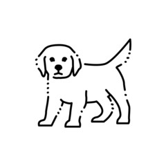 Standing golden retriever puppy color line icon. Pictogram for web page