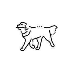 Golder retriever carries a stick color line icon. Pictogram for web page