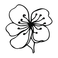 Sakura flower doodle icon. Back line isolated on white. One line contour floral drawing.Vector illustration