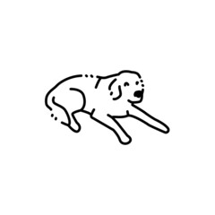 Golder retriever on a leash color line icon. Pictogram for web page