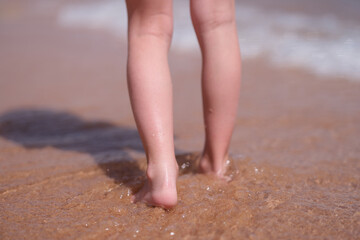 Bare feet of child walking along sea shore closeup