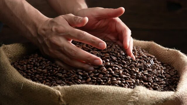 Hands scooping up roasted coffee beans. Freshly roasted aromatic strong dark brown coffee beans scooped up above a large pile of fresh beans. Slow motion.