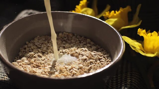 milk is poured into a plate with oatmeal.
On the side lie daffodils