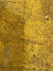 Dirty asphalt covered with yellow paint after rain. Closeup photo of a yellow painted texture.