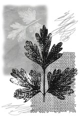 Botanical composition with abstract elements. Prints of chrysanthemum leaves, scans of paper and burlap are used.