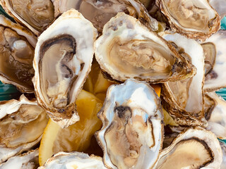 Open oysters with lemon on a beautiful blue plate.Oysters background. Sea delicacy.