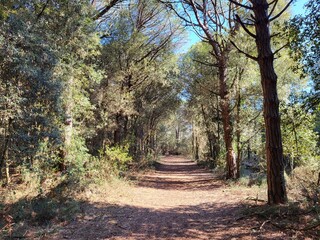 tour della pinete e delle valli del lido di volano comacchio italia