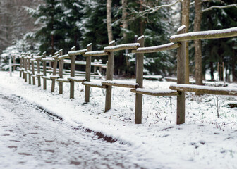 winter landscape with snowy road, snow-covered wooden fence, trees and shrubs by the road, winter