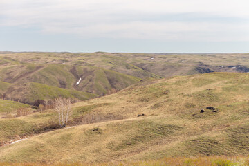 Guberlinsky mountains, Orenburg region, Southern Urals, Russia.