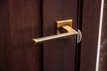 Push door handle made of copper close-up. Interior or entrance door design made of mahogany