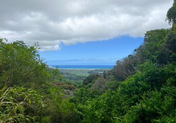 Fototapeta na wymiar Natural in Hawaii. life.Sea and Forest Landscape.