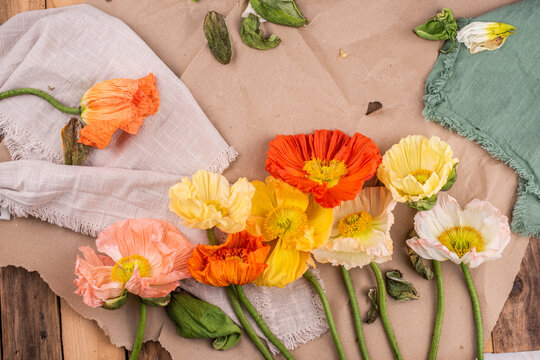 Mohnbl&uuml;ten in verschiedenen Farben Flatlay

