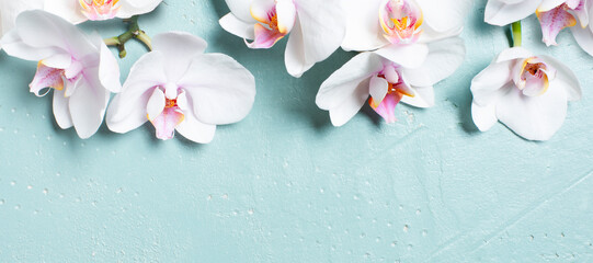 Blue banner with white tropical orchids