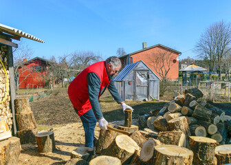 a man in a red vest, a man in his yard splits firewood, climate change, heated energy, energy crisis