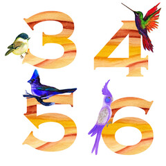 Alphabet numbers set with yellow watercolor fill and with cute birds.The set is suitable for greeting cards, invitations, design works, crafts and hobbies.