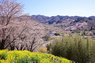 Obraz premium 福島市 花見山 生け花の里 希望の鐘展望台から見た景色