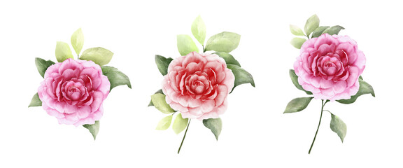 Naklejka premium Set of rose bouquet watercolor isolated on white background