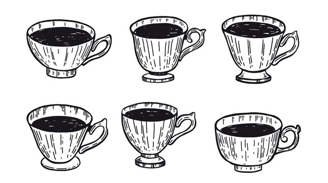 Cup of tea Hand drawn illustrations.	
